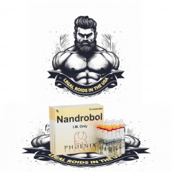 NandroBol